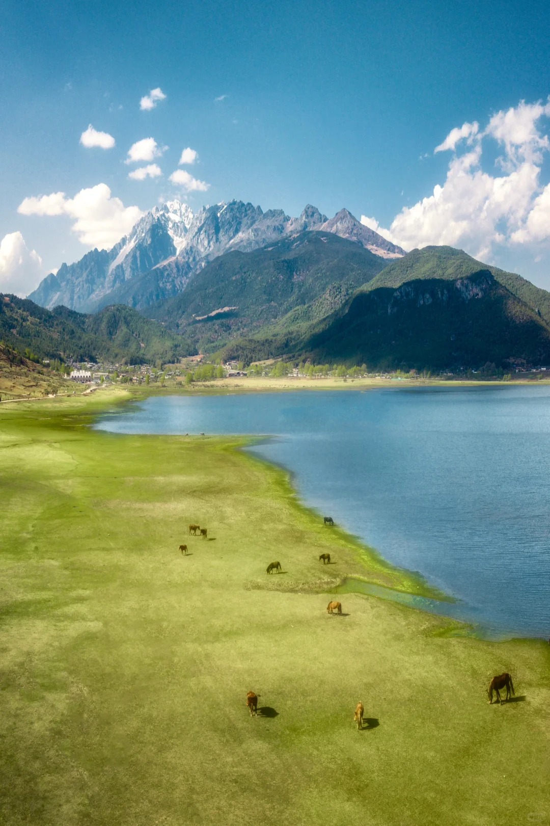 文海—藏在玉龙雪山脚下的油画世界_2_虹周周🌈_云南-来自52tours 我爱旅游网